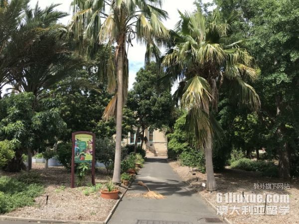 �Ĵ����Ƕ�������