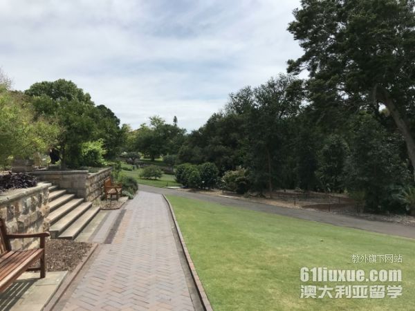 澳大利亚留学条件大学
