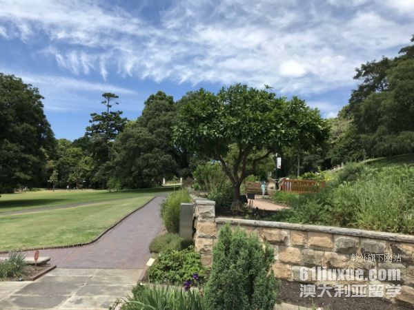 澳大利亚莫纳什大学本科