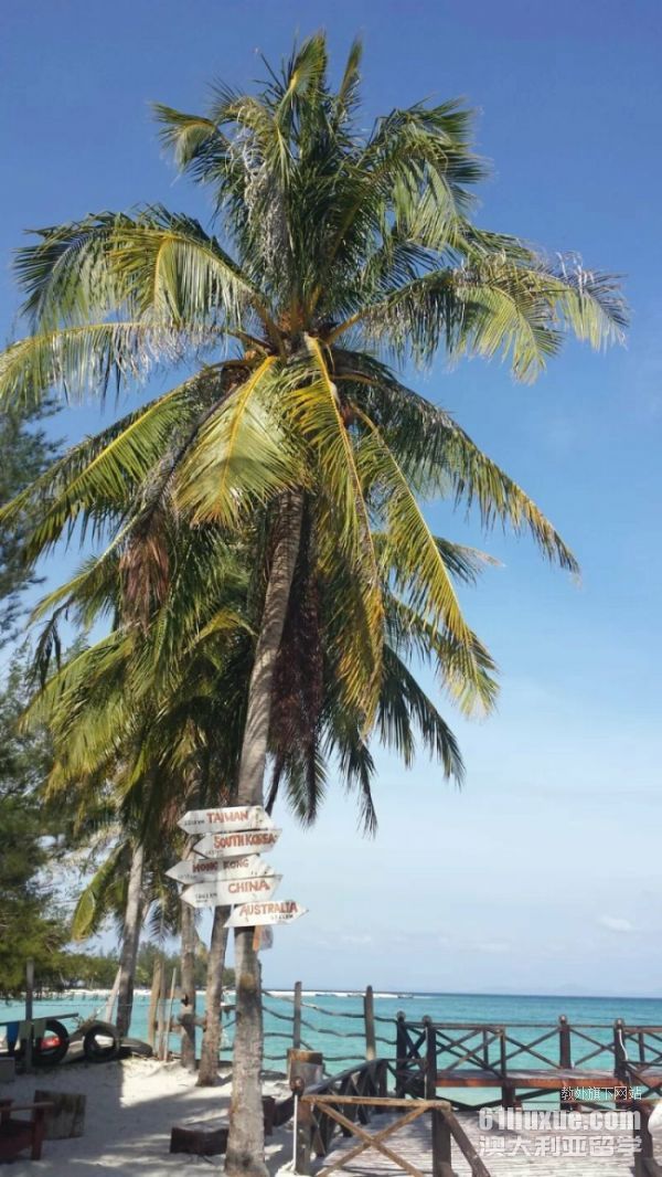 ��������˶ʿ��ѧ��