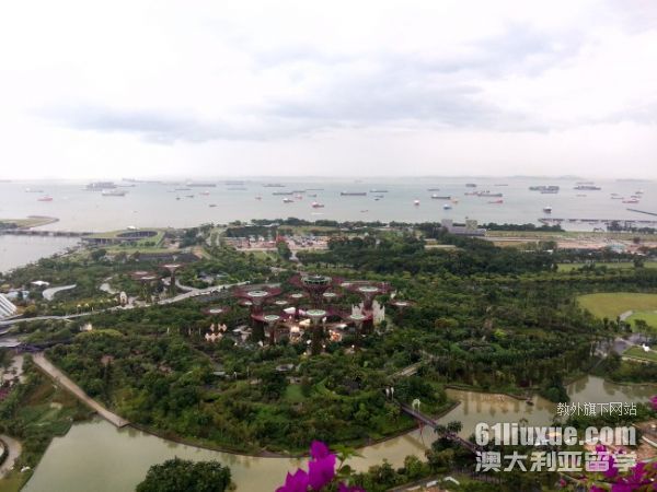 新加坡南洋理工大学一年费用