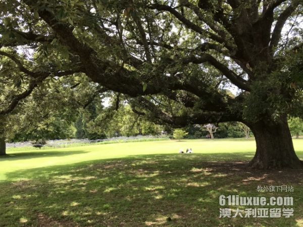 �Ĵ��������벩ʿ��Ҫ��