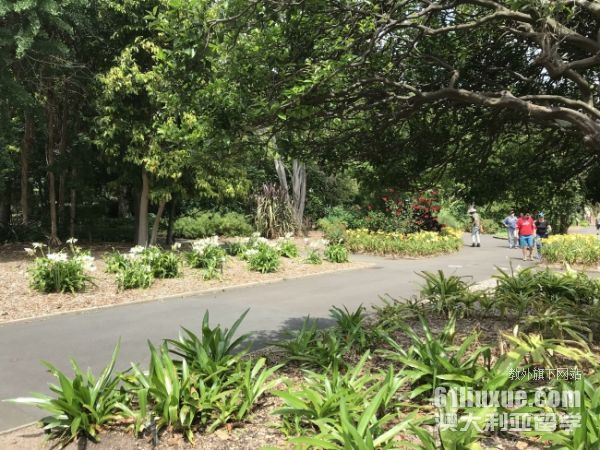 �Ĵ������ϰĴ�ѧ�̿�רҵ