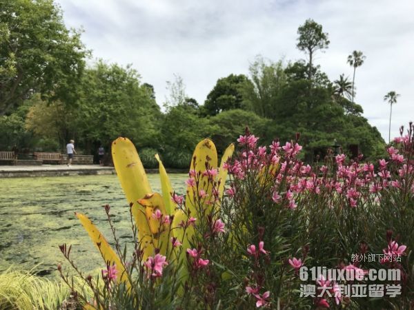 �Ĵ����Ǵ�ѧ�����רҵҪ��