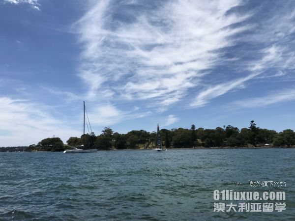 �Ĵ����Ǹ�����ѧ����