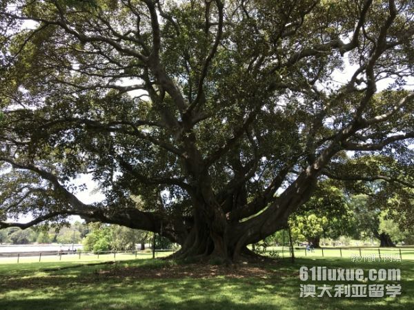 �Ĵ�������ѧ�о�������