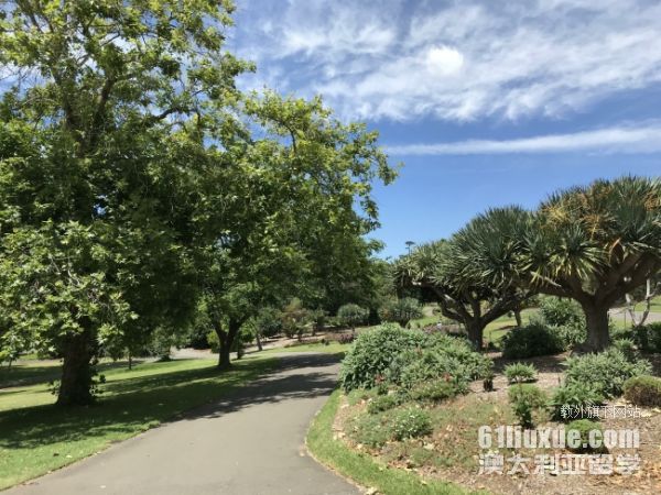 �Ĵ�������ѧ��������