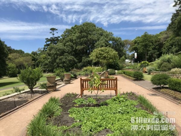 ������ѧҪ��������