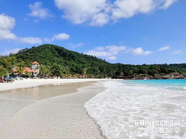 ŵ������ѧ�������Ǳ���