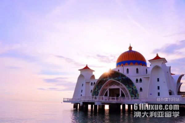 �������Ǵ�ѧ������