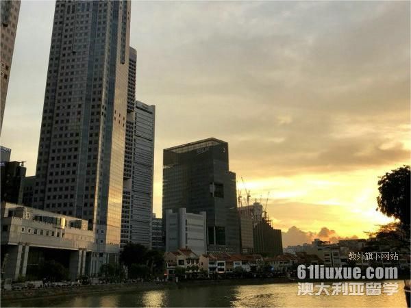 新加坡艺术类大学